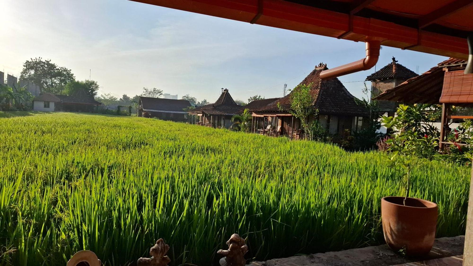 Alamanda Family Villas, Pool & Local Tours Yogyakarta Exterior foto