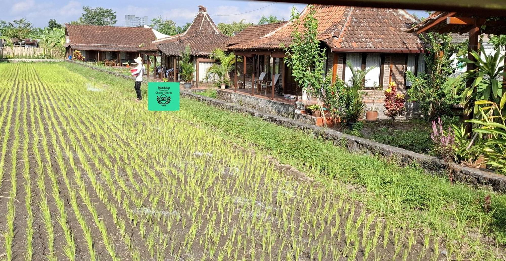 Alamanda Family Villas, Pool & Local Tours Yogyakarta Exterior foto