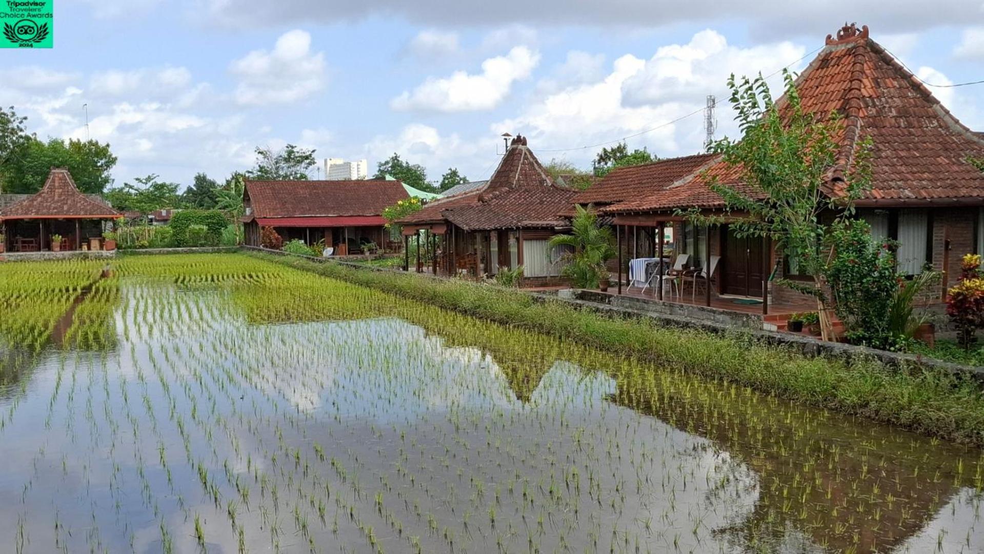 Alamanda Family Villas, Pool & Local Tours Yogyakarta Exterior foto