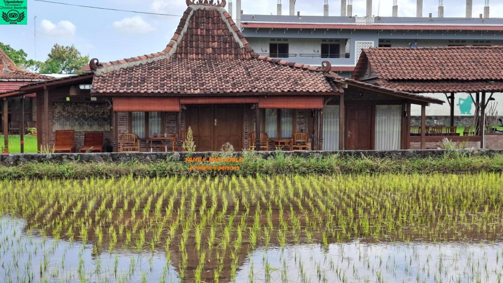 Alamanda Family Villas, Pool & Local Tours Yogyakarta Exterior foto